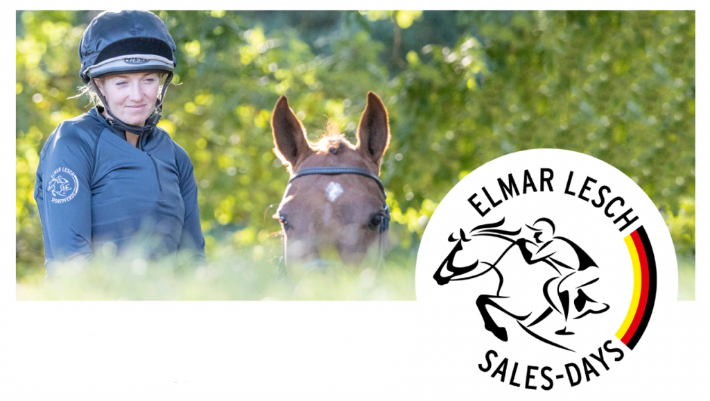 Verkaufstage für Vielseitigkeitspferde Die Kollektion ist online!