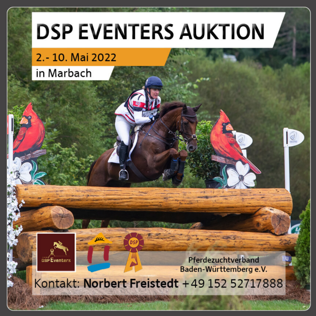 DSP Eventers Auktion – die Kollektion ist Online