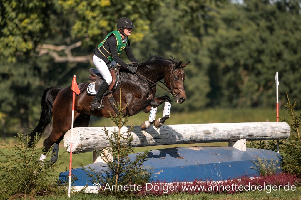 Online Seminar von Pferdesport Deutschland: Internationale Vielseitigkeitsprüfungen – Aktuelles & Grundlagen