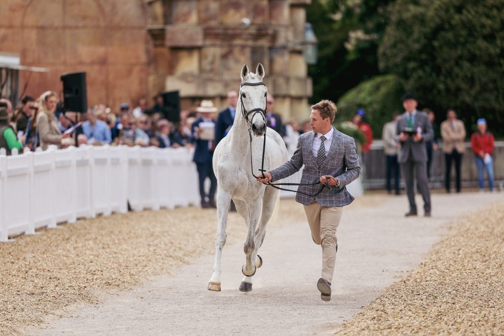 Startreihenfolge Badminton Horse Trials - Arne Bergendahl geht als Nummer 33 ins Rennen