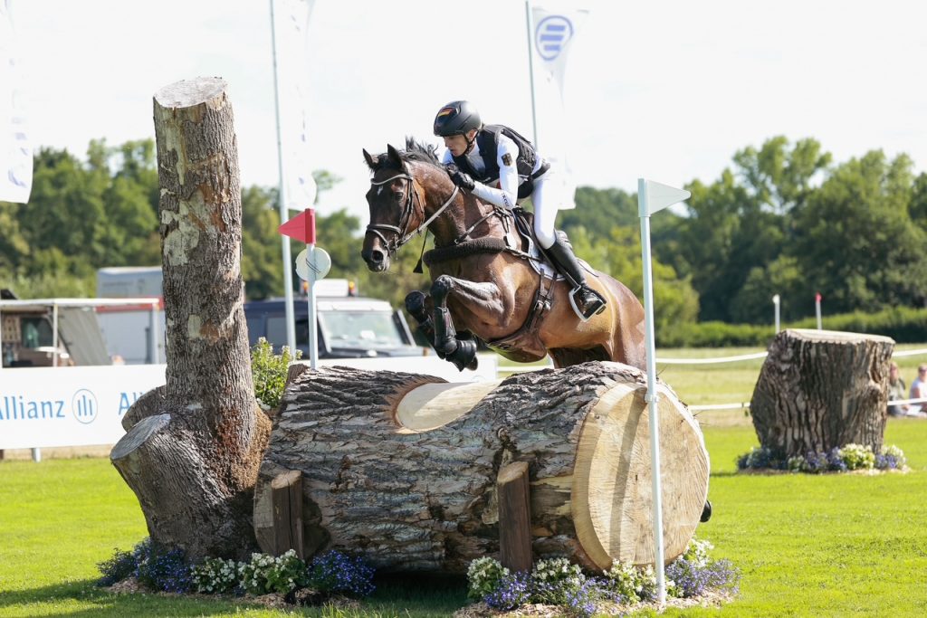Ergebnisse der Buschreiter-Leserumfrage 2026 & Einladung zum WhatsApp Kanal