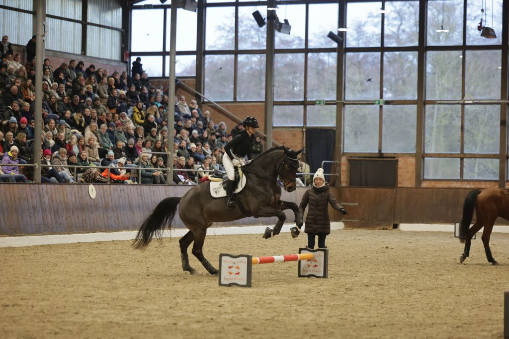 Ingrid Klimke begeistert bei IGV Masterclass „Dressage meets Eventing“ – presented by Equistro
