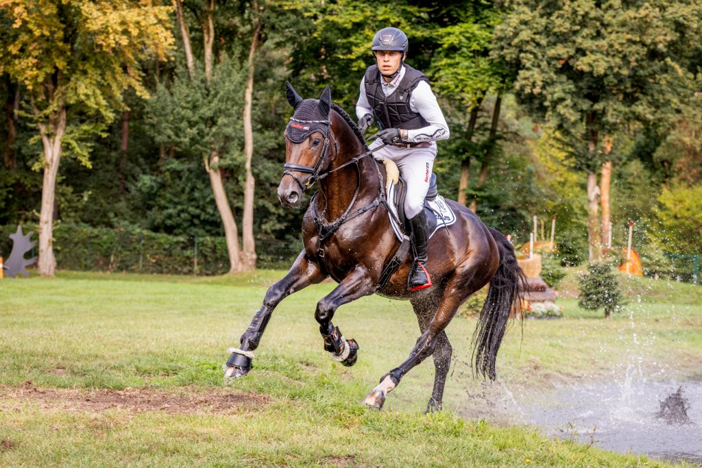 Marbacher Hengstvorstellung 2026 am Samstag, 07. März, um 17 Uhr