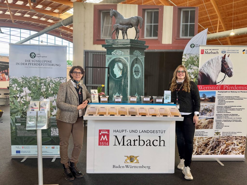 Start des EIP-Projektes „EquiLupinus“ am Haupt- und Landgestüt Marbach