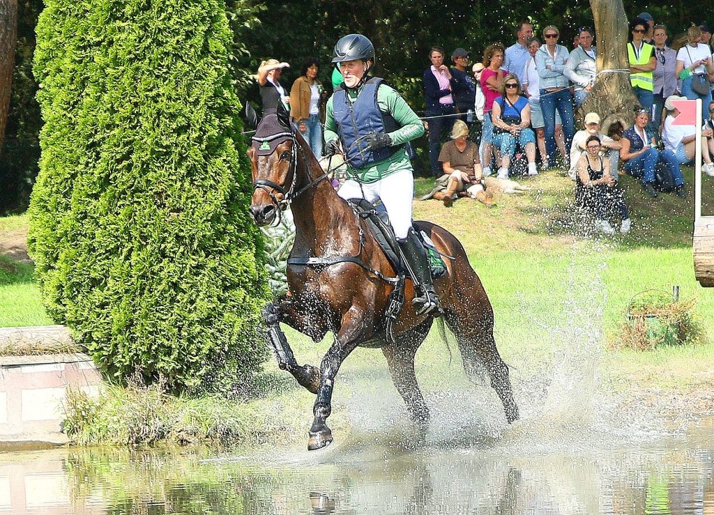 Al Shira‘aa Bundeschampionate: Chesalico gewinnt Titel der fünfjährigen Vielseitigkeitspferde