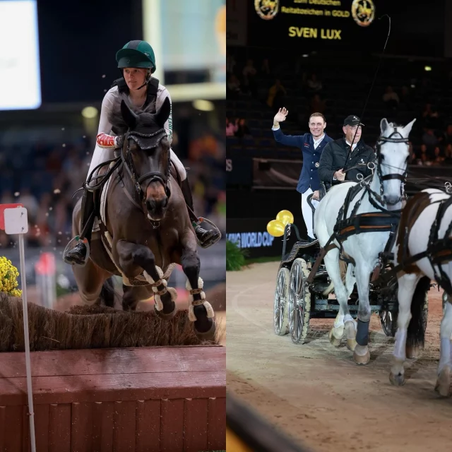 🏅Sieger der Woche 🏅

Bein den Stuttgart German Masters fand traditionell am Mittwoch Abend der Indoor Cross statt. In diesem Jahr flitzte die erst 22-jährige Irin Jennifer Kühnle der Konkurrenz davon und siegte mit Sammy Davis Junior in der Prüfung 🥇🇮🇪

Der Star des Abends war Sven Lux, der zum einen den sechsten Platz im Indoor Cross mit Kilcandra Ocean Power belegte. Nach der Prüfung wurden dann alle Scheinwerfer auf ihn gerichtet, denn er bekam für seine Erfolge im Sattel das Goldene Reitabzeichen verliehen. Zahlreiche Freunde und Wegbegleiter kamen nach Stuttgart in die Hanns-Martin-Schleyer Halle, um dem 32-jährigen zu gratulieren 🥂 

Herzlichen Glückwunsch 🍾 

📸 @datenreiter